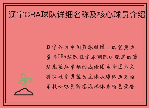 辽宁CBA球队详细名称及核心球员介绍